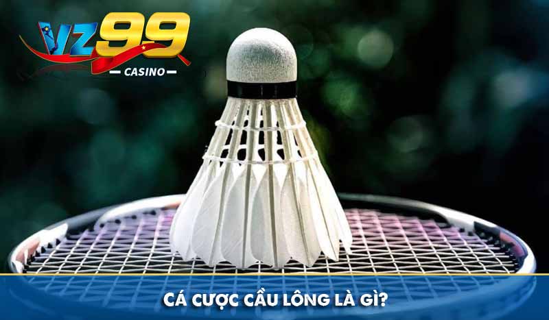 Cá cược cầu lông là gì?